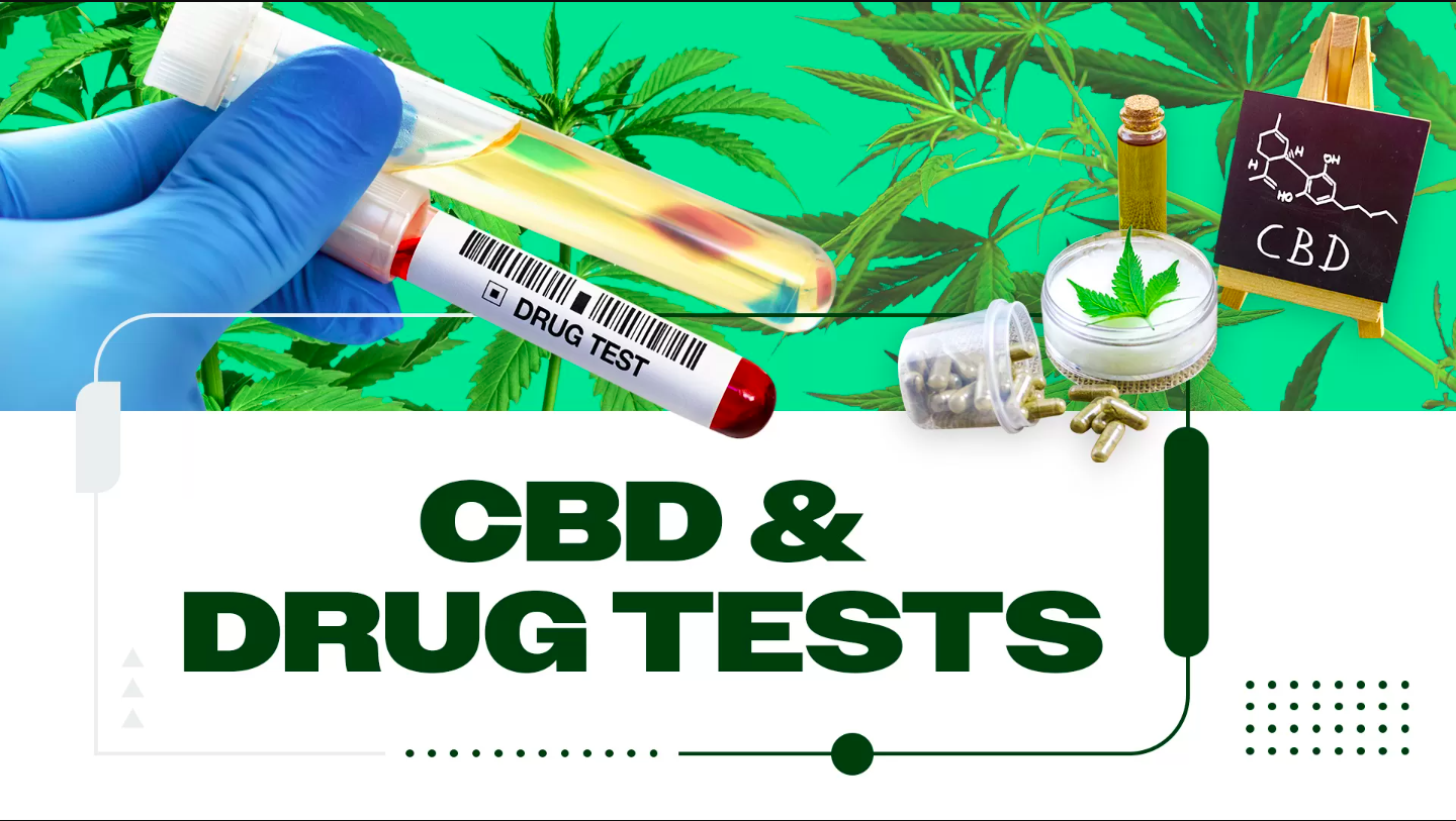 Does CBD Appear on Drug Tests During Probation? What You Need to Know