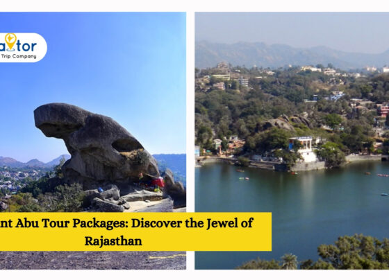 Mount Abu Tour Packages