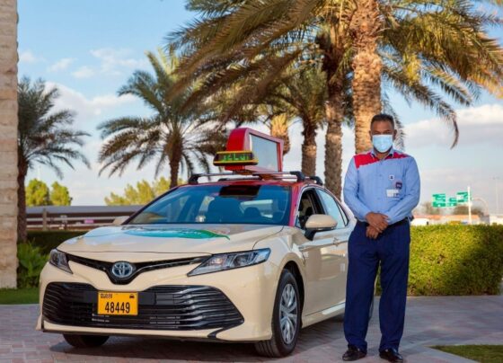  Rising Stars in Safe Driver Services in Dubai 2024's Top Trends