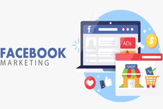 Facebook Marketing Training in Chandigarh