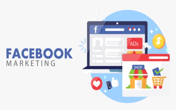 Facebook Marketing Training in Chandigarh