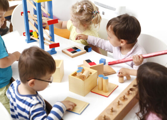 Montessori Educational Materials