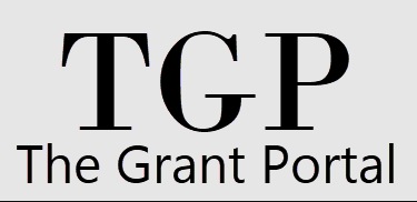 Securing Grants: Unlocking Opportunities for Small Businesses